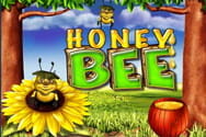 Honey Bee